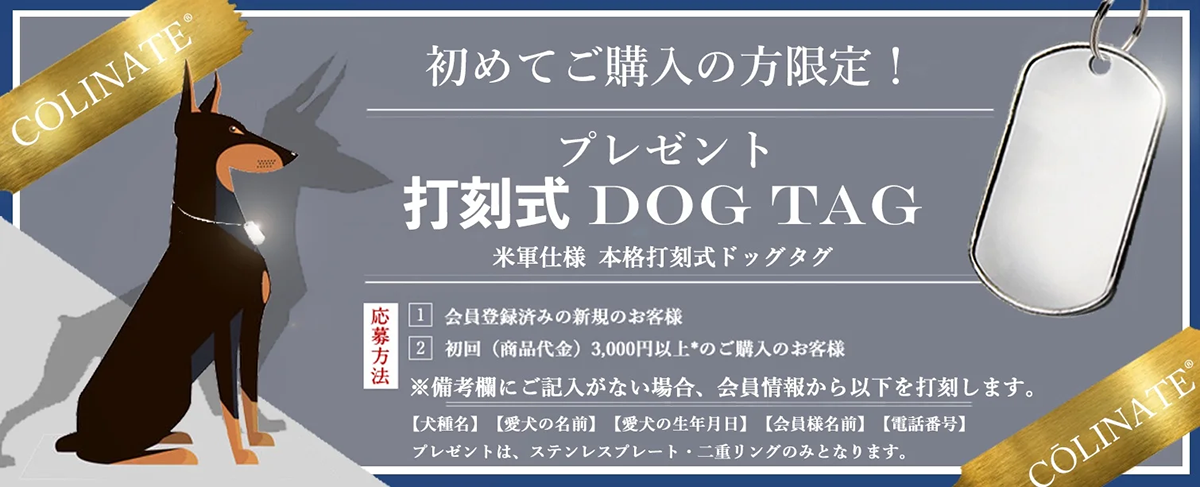 ドッグタグプレゼント