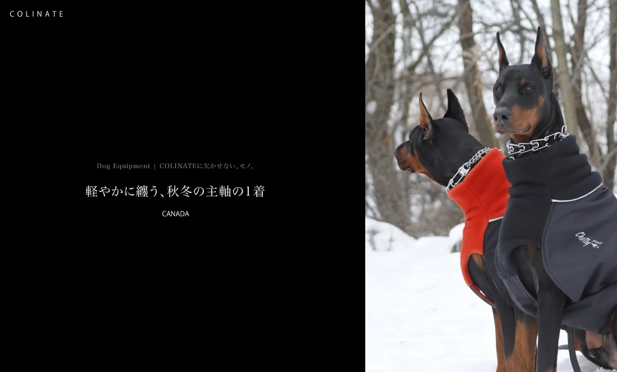 大型犬 冬服